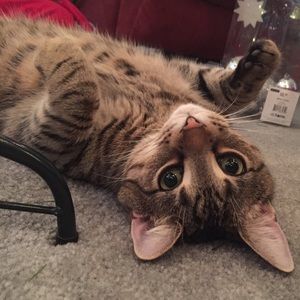 Meet your Posher, Marcy